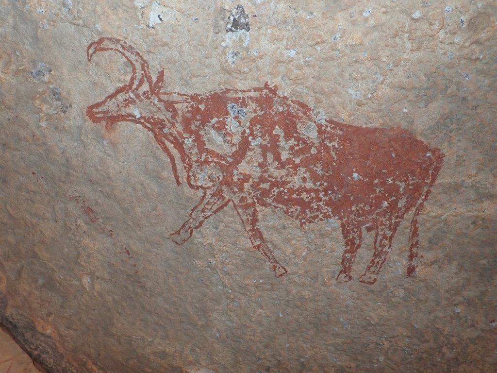 Eine Felszeichnung mit einem Rind